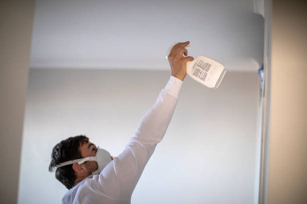 Best Residential Mold Removal  in Rutgers University Busch Campus, NJ
