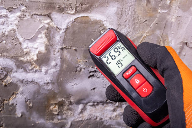 Trusted Rutgers University Busch Campus, NJ Mold Removal Experts