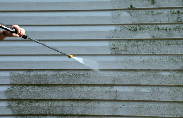 Best Home Mold Removal  in Rutgers University Busch Campus, NJ