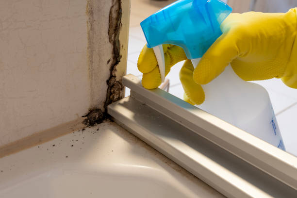 Water Damage Restoration in Rutgers University Busch Campus, NJ